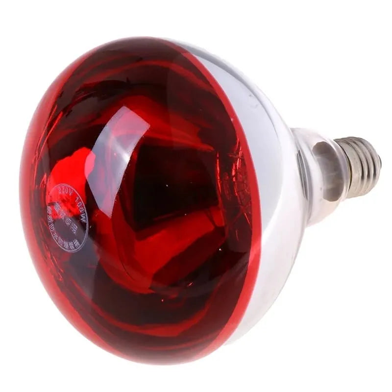 100 Watts Heating Light Bulb